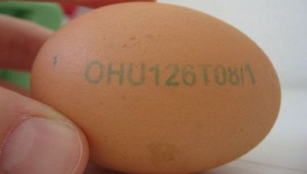Fejtsd meg a tojásokon levő feliratot!