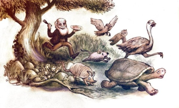 Darwin nem csak felfedezte, meg is kóstolta az új állatfajokat